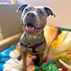 Thumbnail photo of Khallie #2