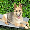 Thumbnail photo of Zoe #4