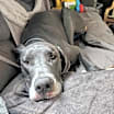 Thumbnail photo of Freya & Lilah #2