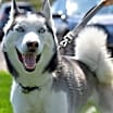 Thumbnail photo of Dasher #2