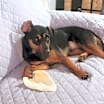 Thumbnail photo of Ash #2
