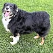 Thumbnail photo of Max R Roni #3