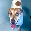 Thumbnail photo of Sheila #1