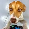 Thumbnail photo of Sheila #2