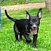 Thumbnail photo of Lucas #4