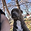 Thumbnail photo of Maisy #2