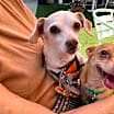 Thumbnail photo of Spot #1