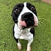 Thumbnail photo of Beetlejuice  A047632 #2