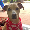 Thumbnail photo of Olivia #1