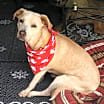 Thumbnail photo of Olivia #2