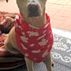 Thumbnail photo of Olivia #3