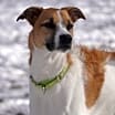 Thumbnail photo of Thelma #2