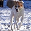 Thumbnail photo of Thelma #4