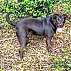 Thumbnail photo of Tillie #2