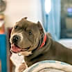 Thumbnail photo of Miller #1