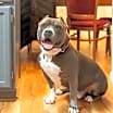 Thumbnail photo of Miller #2