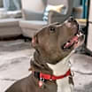 Thumbnail photo of Miller #3