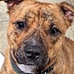 Thumbnail photo of OAKLEY (COURTESY POST) #1