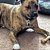 Thumbnail photo of OAKLEY (COURTESY POST) #2