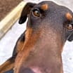 Thumbnail photo of Alli #2