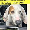 Thumbnail photo of Wes #2