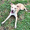Thumbnail photo of Dudley #2