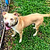 Thumbnail photo of Dudley #3