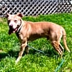 Thumbnail photo of Dudley #4