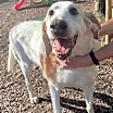 Thumbnail photo of Doug #1