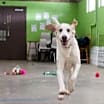 Thumbnail photo of Doug #2