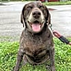 Thumbnail photo of Remi #1