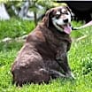 Thumbnail photo of Remi #4