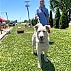 Thumbnail photo of Toby #4