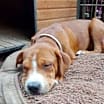 Thumbnail photo of Holly #2
