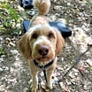 Thumbnail photo of Walter #1