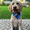 Thumbnail photo of Walter #2