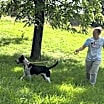 Thumbnail photo of Buck #4