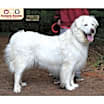 Thumbnail photo of Lily #2