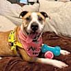 Thumbnail photo of Juice #1