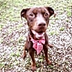 Thumbnail photo of Charlie #2
