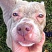 Thumbnail photo of Tawny #3
