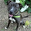 Thumbnail photo of Mocha #1