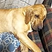Thumbnail photo of Fiona #1