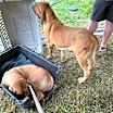 Thumbnail photo of Fiona #2