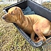 Thumbnail photo of Fiona #3