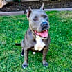 Thumbnail photo of Keeper #4