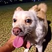 Thumbnail photo of Lila (D) #2