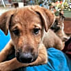 Thumbnail photo of Baby Ingrid #1