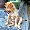 Thumbnail photo of Baby Ingrid #2
