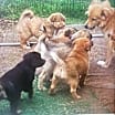 Thumbnail photo of Baby Ingrid #3